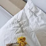 La Maison D'hortense, Maison De Charme Et De Caractere 4* トゥールーズ