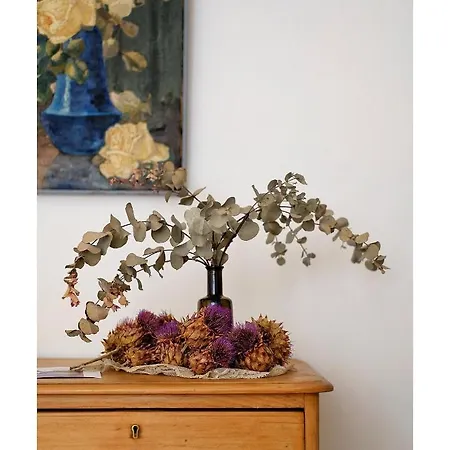 게스트하우스 La Maison D'hortense, Maison De Charme Et De Caractere 툴루즈