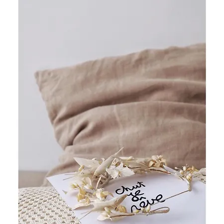 La Maison D'hortense, Maison De Charme Et De Caractere 툴루즈