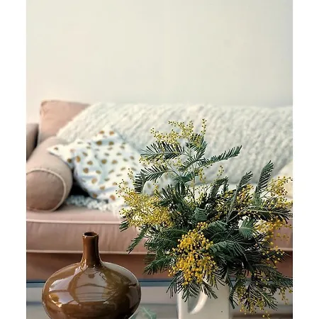 La Maison D'hortense, Maison De Charme Et De Caractere 4*