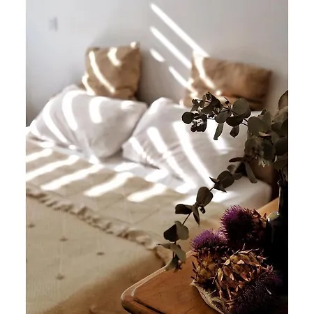 La Maison D'hortense, Maison De Charme Et De Caractere 4*