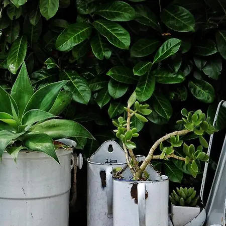 La Maison D'hortense, Maison De Charme Et De Caractere 게스트하우스