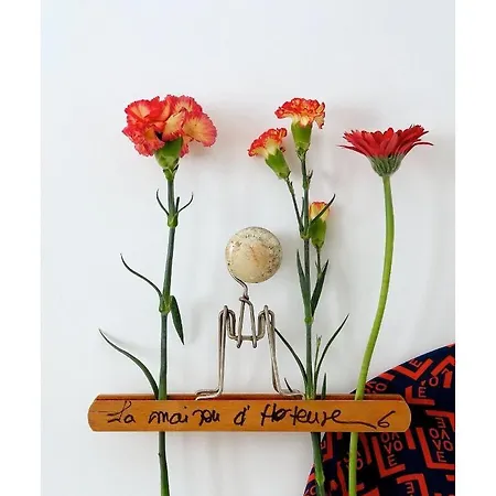 La Maison D'hortense, Maison De Charme Et De Caractere 게스트하우스