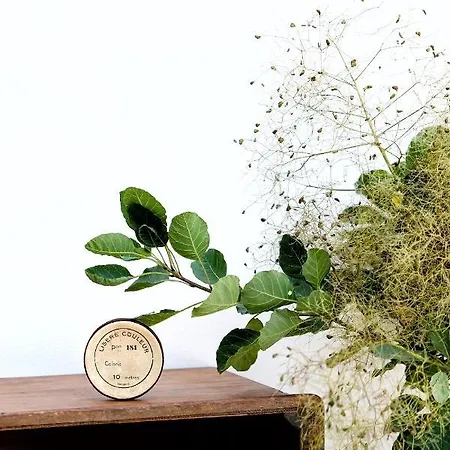 La Maison D'hortense, Maison De Charme Et De Caractere 게스트하우스 툴루즈