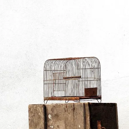 La Maison D'hortense, Maison De Charme Et De Caractere 게스트하우스 툴루즈