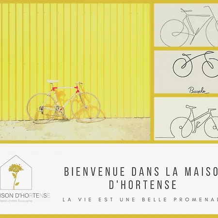 La Maison D'hortense, Maison De Charme Et De Caractere ゲストハウス トゥールーズ