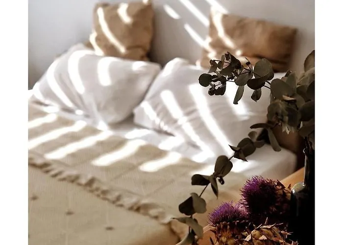 La Maison D'hortense, Maison De Charme Et De Caractere 4*