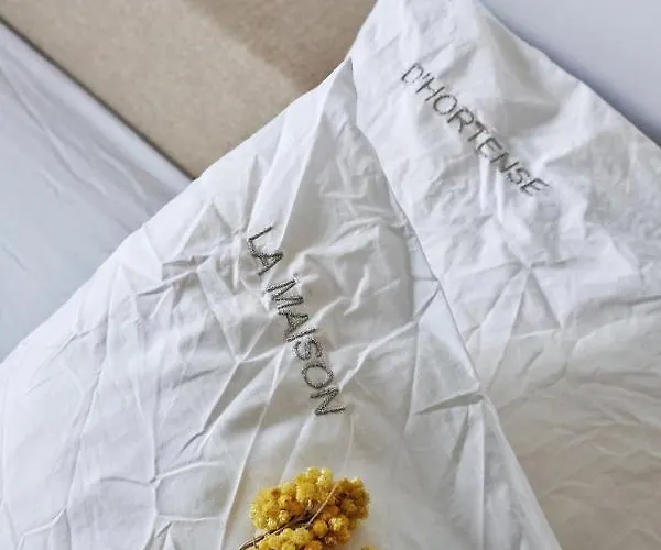 La Maison D'hortense, Maison De Charme Et De Caractere 4* トゥールーズ