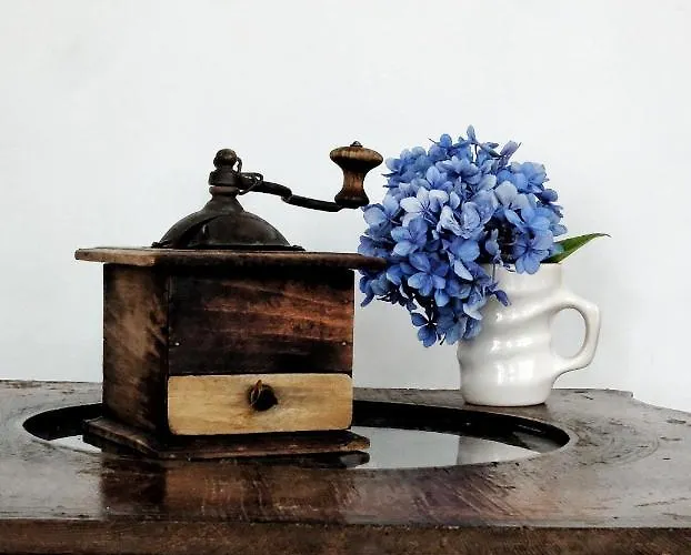 ゲストハウス La Maison D'hortense, Maison De Charme Et De Caractere 4*