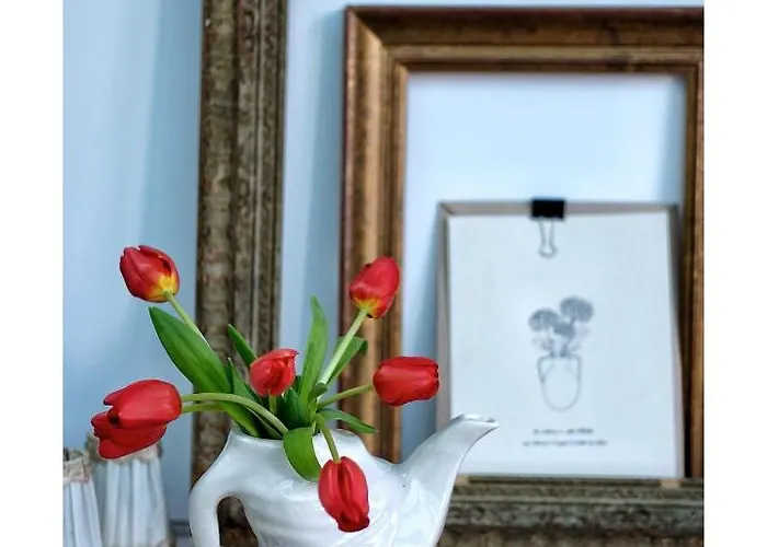 ゲストハウス La Maison D'hortense, Maison De Charme Et De Caractere 4*