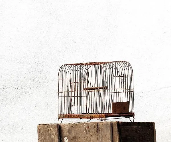 La Maison D'hortense, Maison De Charme Et De Caractere ゲストハウス トゥールーズ