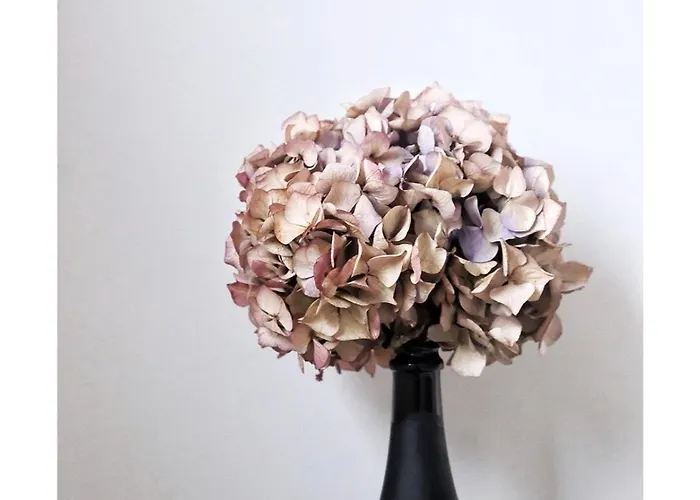 ゲストハウス La Maison D'hortense, Maison De Charme Et De Caractere 4*